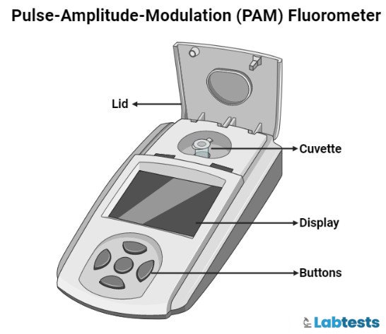 Pulse Amplitude Modulation (PAM) Fluorometer