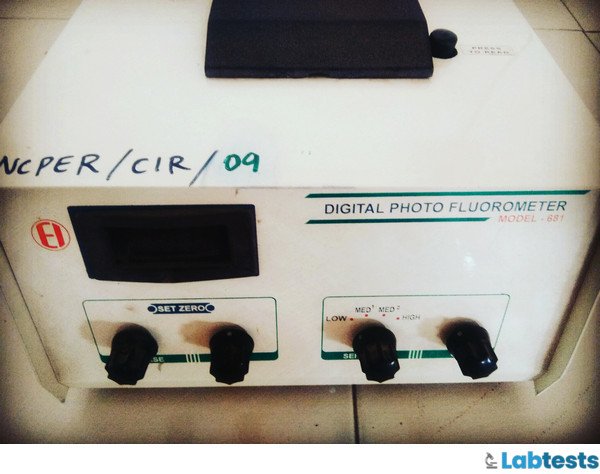 Real time image of Digital fluorometer