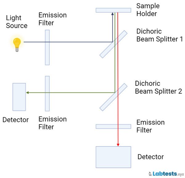 Simple fluorometer principle diagram