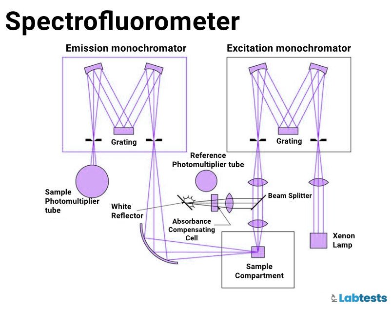 Spectrofluorometer principle diagram image
